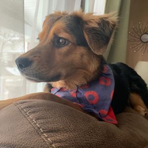 Meet your Posher, Alisha